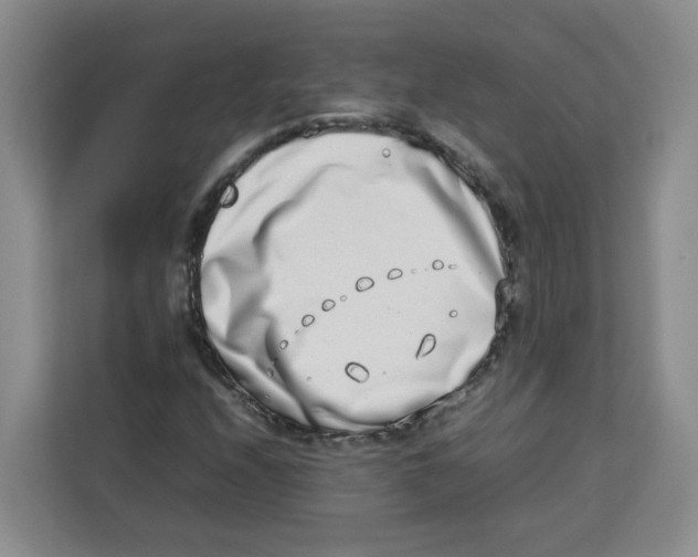 X0000113911208200910221326