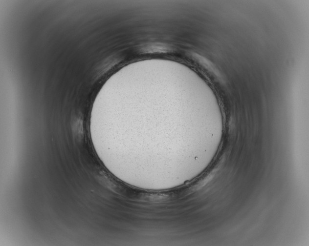 X0000113911209200910221326