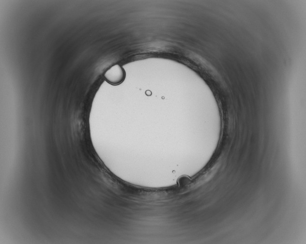 X0000113911210200910221326