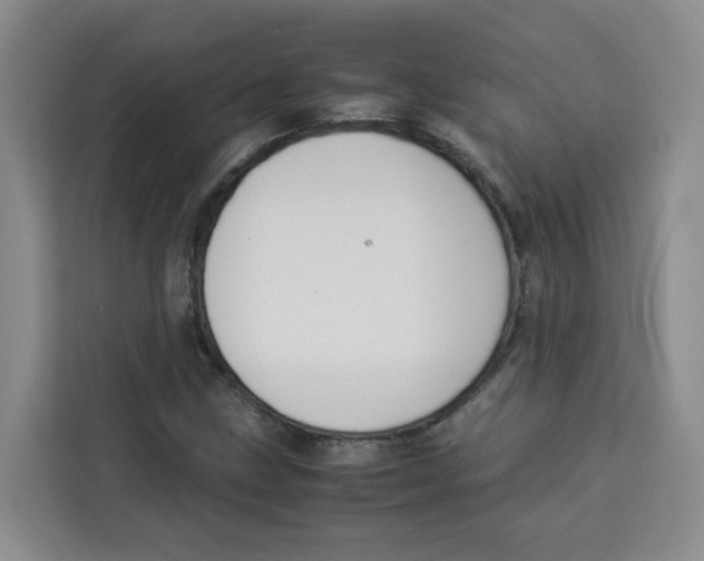 X0000113911211200910221327