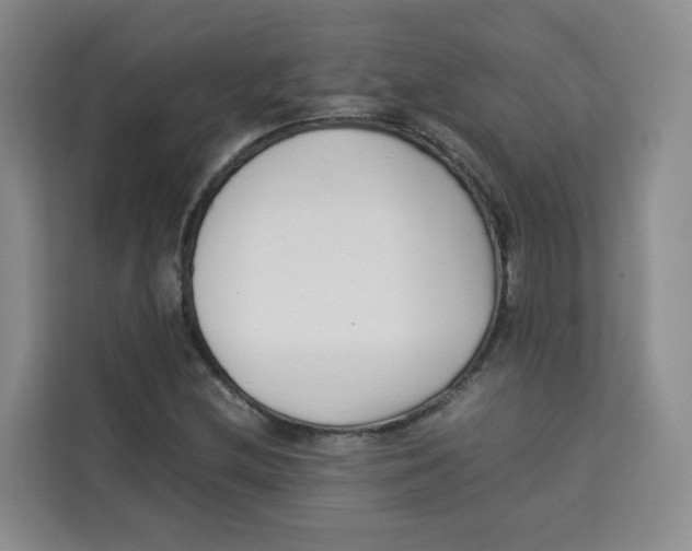 X0000113911212200910221327