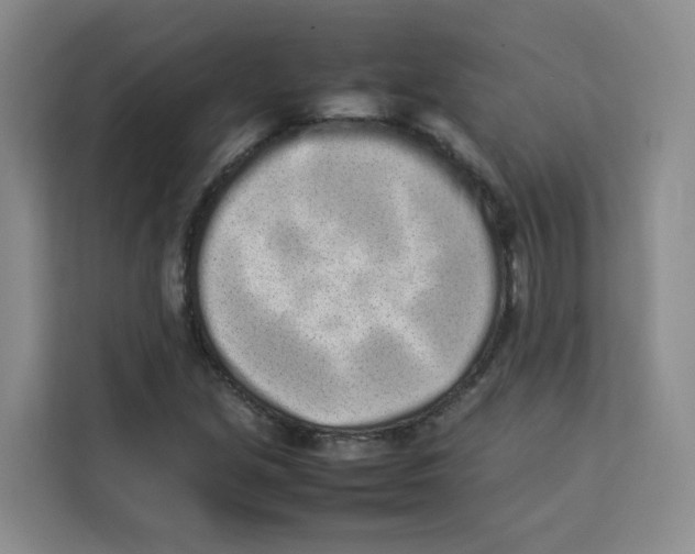 X0000113911213200910221327