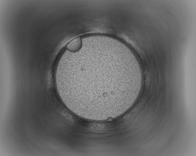 X0000113911215200910221327