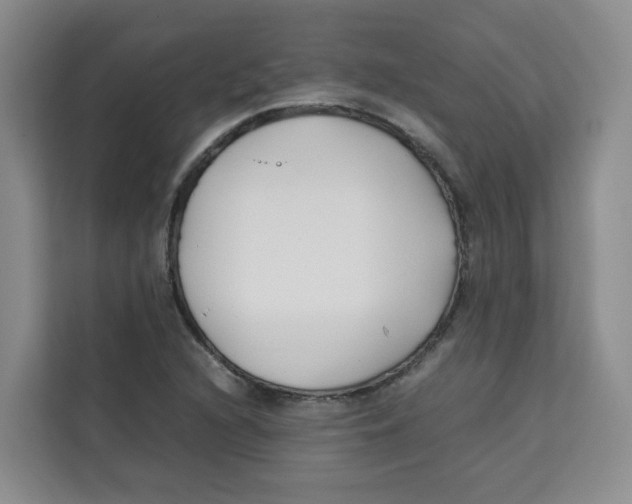 X0000113911216200910221327