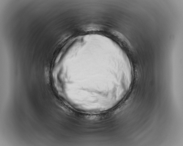 X0000113911217200910221327