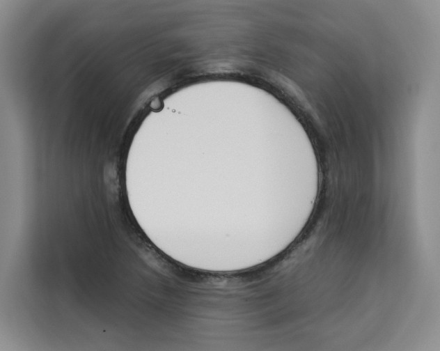 X0000113911218200910221327