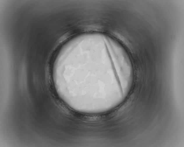 X0000113911219200910221327