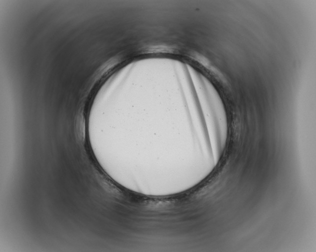 X0000113911221200910221327