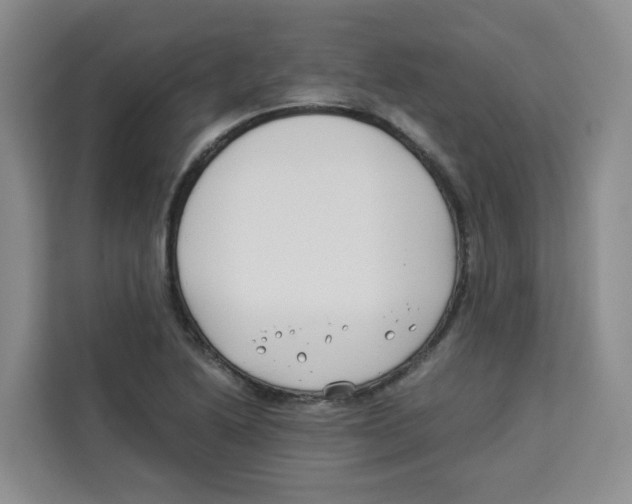 X0000113911222200910221327