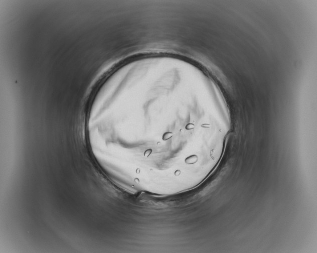 X0000113911224200910221327