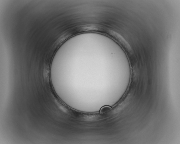 X0000113911225200910221327