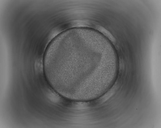 X0000113911226200910221327