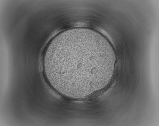 X0000113911227200910221327