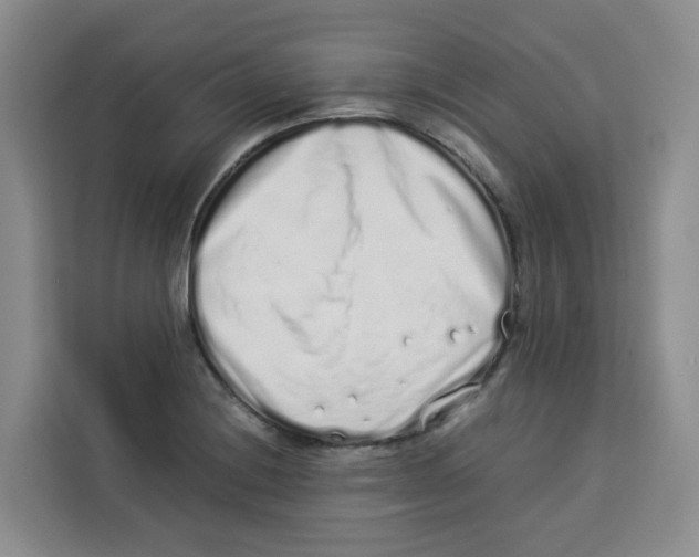 X0000113911228200910221327