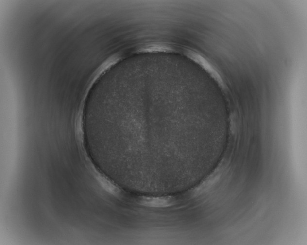 X0000113911229200910221327