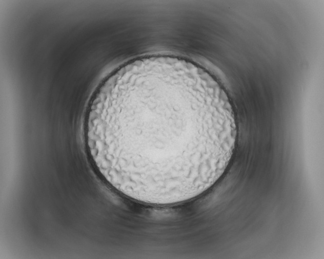 X0000113911231200910221327