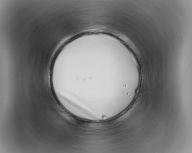 X0000113911232200910221327