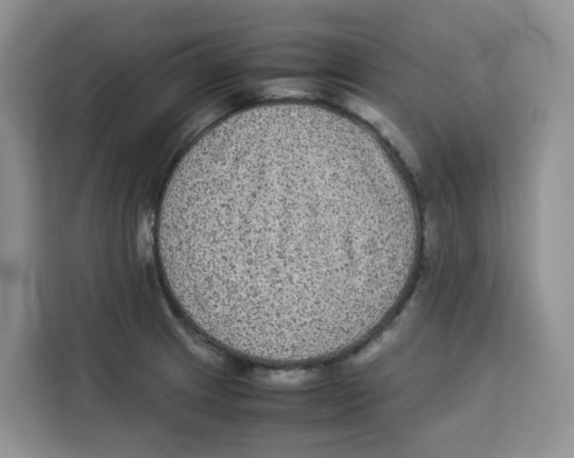 X0000113911233200910221327