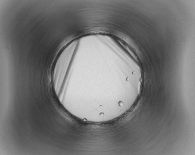 X0000113911234200910221327