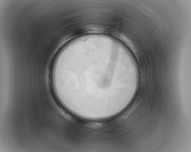 X0000113911235200910221327