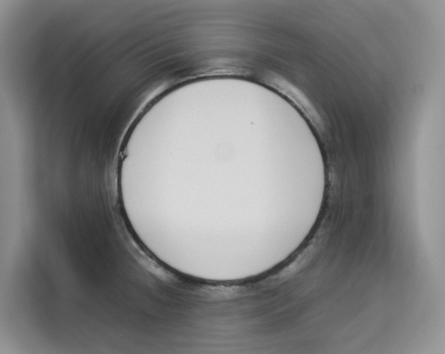 X0000113911236200910221327