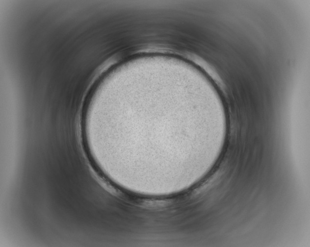 X0000113911237200910221327