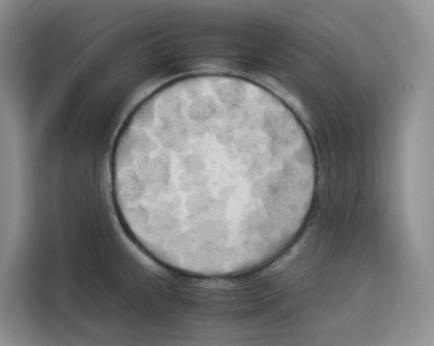 X0000113911239200910221327