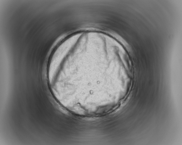 X0000113911240200910221327