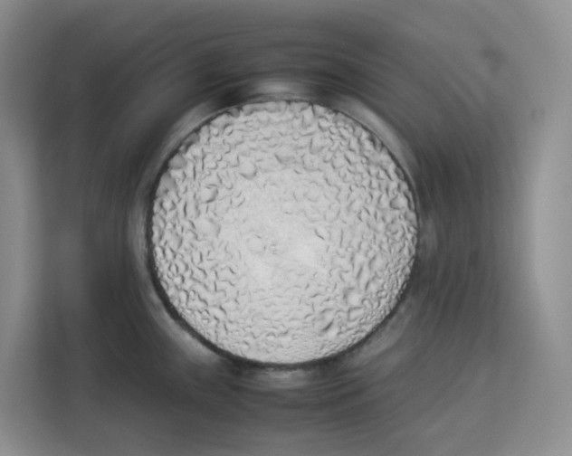 X0000113911243200910221327