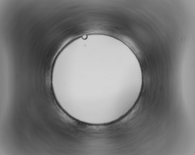 X0000113911244200910221327