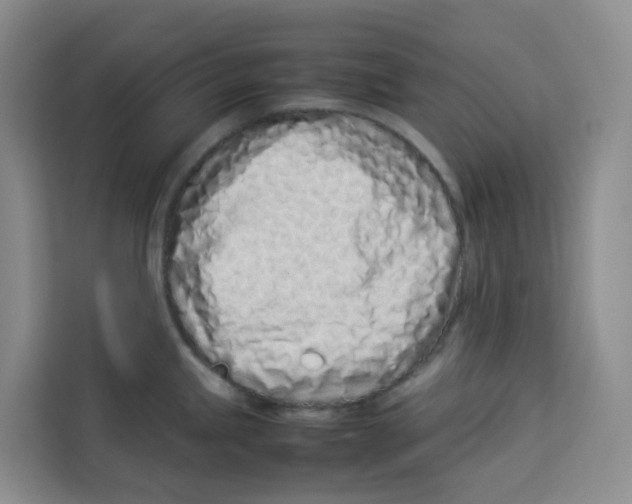 X0000113911245200910221327