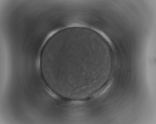 X0000113911246200910221327