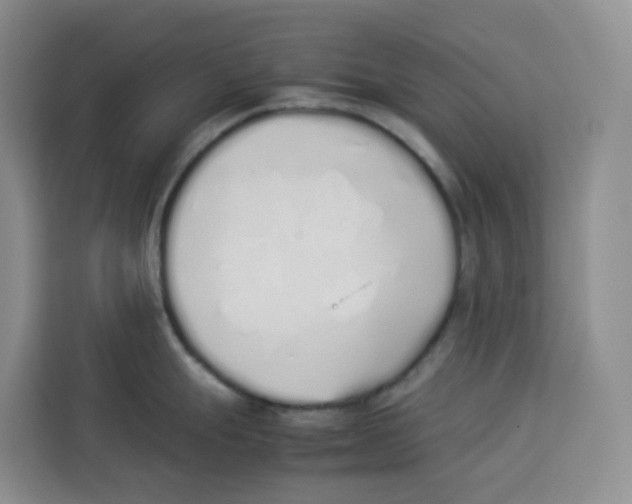 X0000113911247200910221327