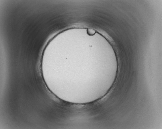 X0000113911248200910221327