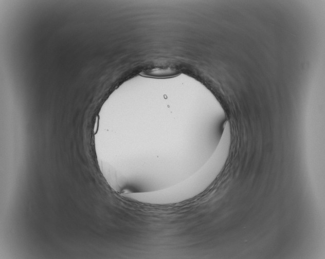 X0000113911249200910221326