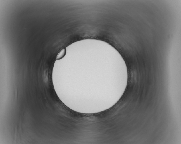 X0000113911250200910221326