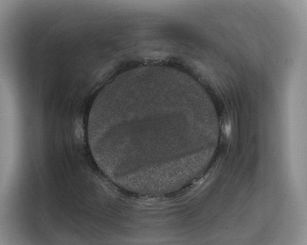 X0000113911252200910221326