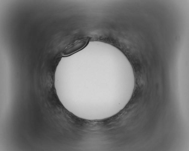 X0000113911253200910221326