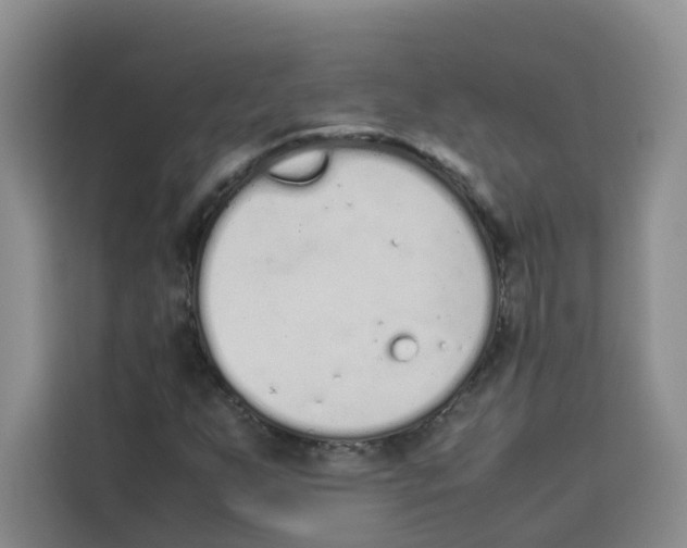 X0000113911255200910221326