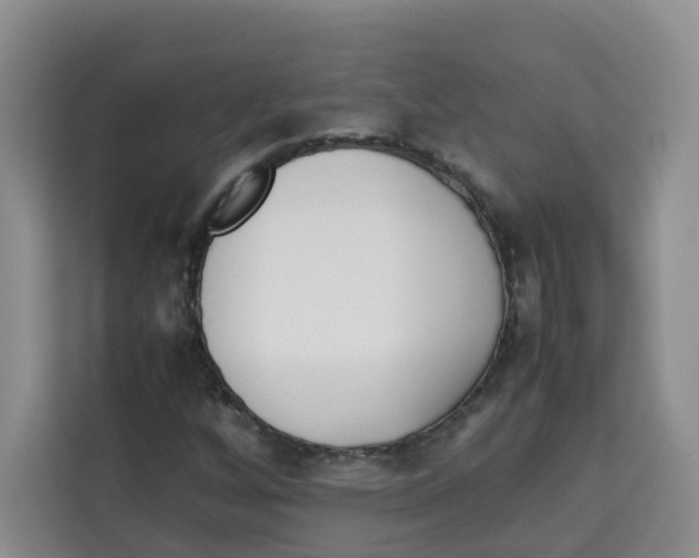 X0000113911256200910221326