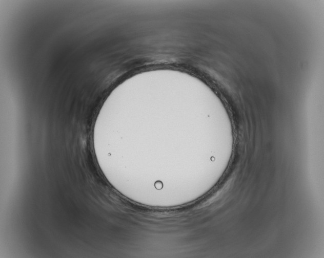 X0000113911257200910221326