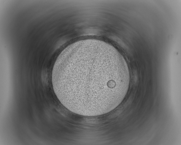 X0000113911258200910221326