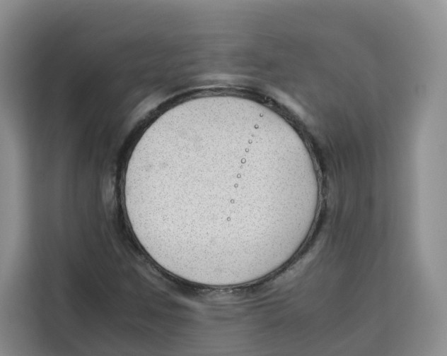 X0000113911259200910221326