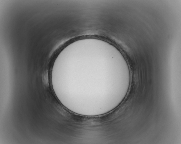 X0000113911262200910221326