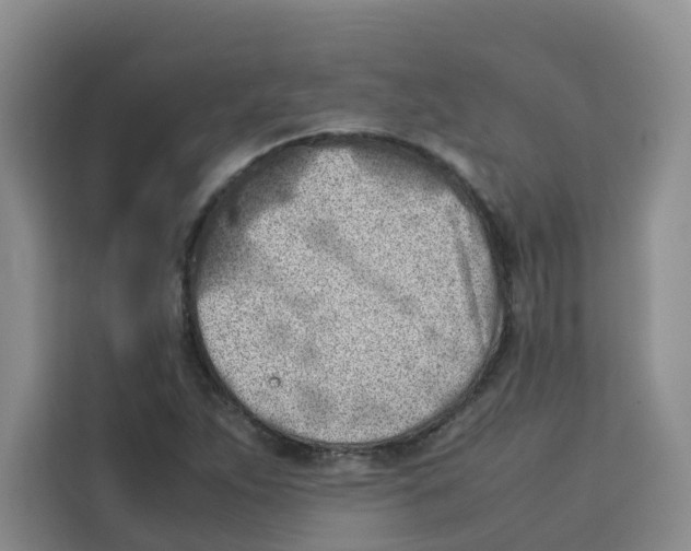 X0000113911263200910221326