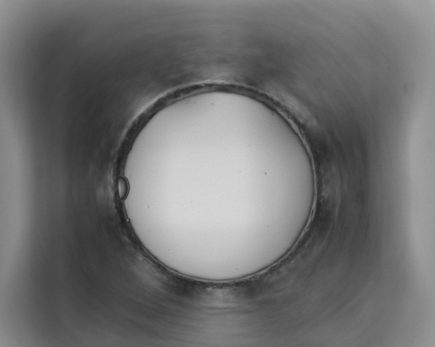 X0000113911264200910221326