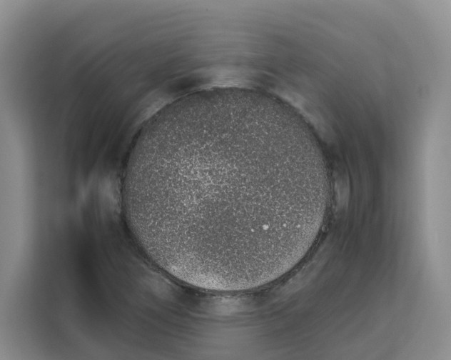 X0000113911266200910221326