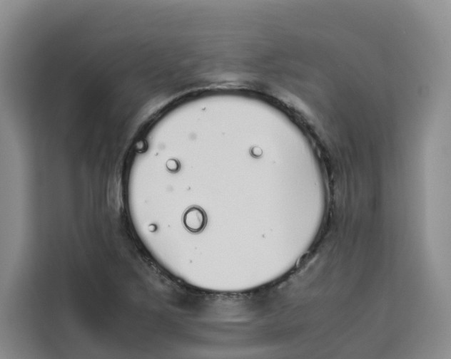 X0000113911267200910221326