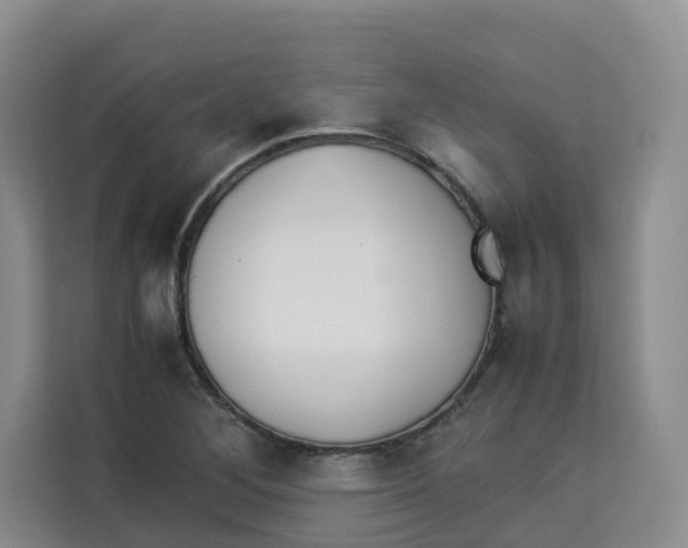 X0000113911268200910221326