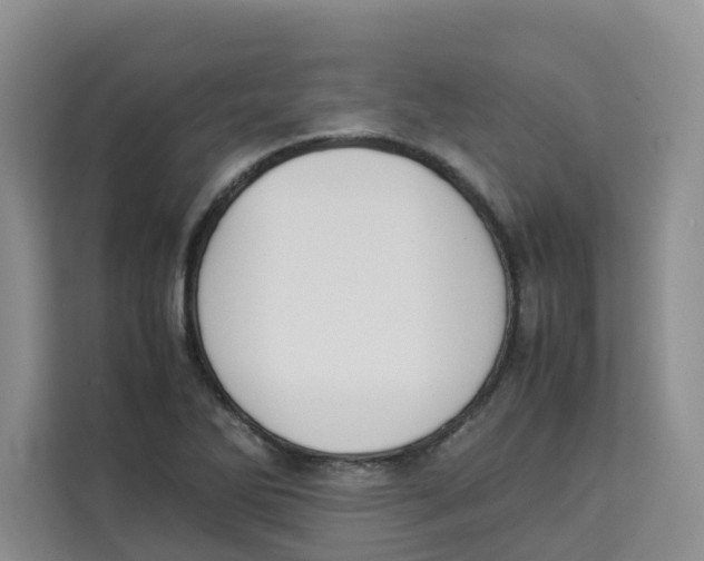 X0000113911270200910221326